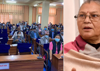 मुख्यमन्त्री शाक्यले गरिन् विश्वासको मत लिने प्रस्ताव पेस, बैठक १२ दिनका लागि स्थगित