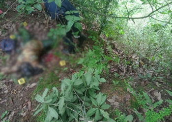 भक्तपुरमा १५ दिनदेखि हराइरहेकी महिला मृत भेटिइन्