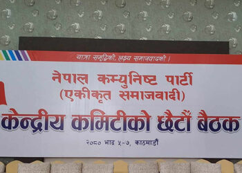 एकीकृत समाजवादीको केन्द्रीय समिति बैठक सुरु