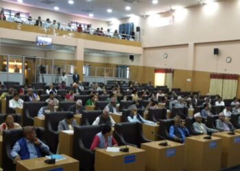 कोशी प्रदेशसभा कांग्रेस सांसद मन्सुरीले चलाउने, मुख्यमन्त्रीलाई विश्वासको मत पनि दिने