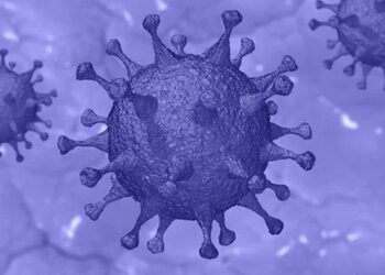 ३८ देशमा फैलियो कोरोनाको नयाँ सब–भेरियन्ट जेएन.१, विज्ञ भन्छन्– नेपालले नजरअन्दाज गर्नु हुँदैन