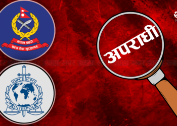 रेड कर्नर नोटिस जारी गरिएका चारजना विदेशबाट पक्राउ