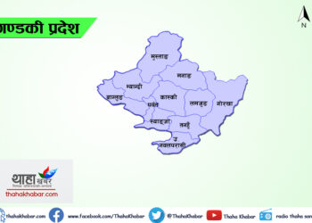 गण्डकी : प्रशिक्षक, रेफ्री र खेलाडीहरूको बीमा, औषधोपचार र छात्रवृत्तिको प्रस्ताव