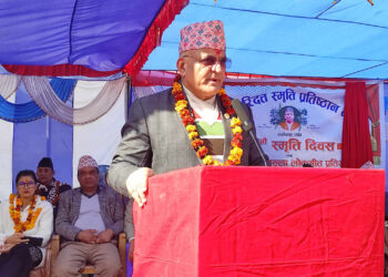 राजाहरूबाट देशले विकास पाएन : मुख्यमन्त्री पाण्डे