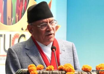 दोस्रो वर्ष अझै उपलब्धिमूलक काम गर्छु : प्रधानमन्त्री प्रचण्ड