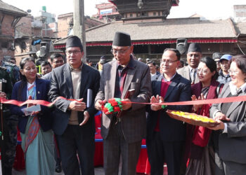 देश विकास गर्न नसक्ने प्रधानमन्त्रीलाई राजीनामा दिन सुझाव