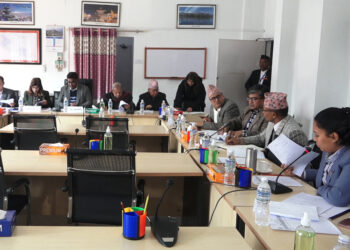 ऐतिहासिक दस्ताबेज नष्ट गर्नेलाई राष्ट्रद्रोहको मुद्दा चलाउन सांसदहरूको माग