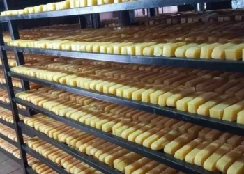 पश्चिमी मुलुकमा बढ्दै छ नेपाली छुर्पीको लोकप्रियता