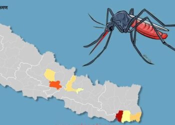 गाउँभन्दा सहरमा बढी हुन्छ डेंगु सङ्क्रमण, सजगता अपनाउन विज्ञको सुझाव