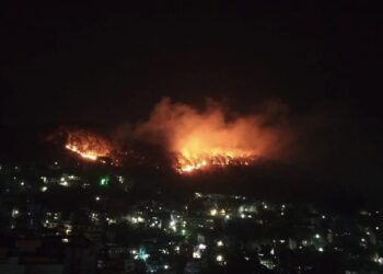 लेलेको डढेलो आनन्द वनमा फैलियो, कुष्ठरोग अस्पताल जोखिममा