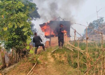 सोलुखुम्बुमा डढेलोले दश घर जले, दर्जनौँ पशुचौपाया हताहत