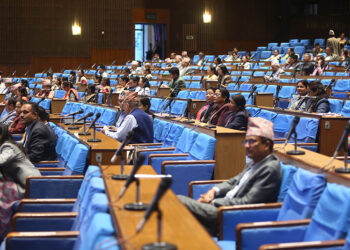 बालकोटको बाटो देखाउने प्रधानमन्त्री प्रचण्ड नै हो : कांग्रेस सांसद विक