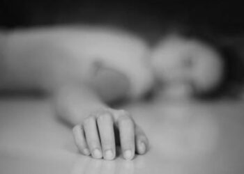 बसको ठक्करबाट घाइते आमाछोराको मृत्यु