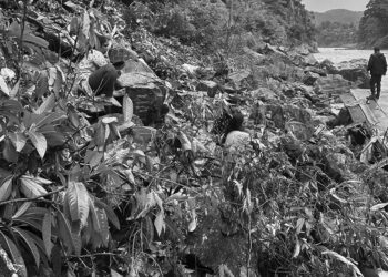 त्रिशूलीमा भारतीय बस खस्यो