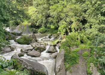 सुन्दरीजलमा युवतीको हत्या, दुई जना पक्राउ