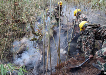 १० दिनसम्म नियन्त्रणमा आएन मनाङको डढेलो