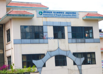 सरकार बनाउने पहल राष्ट्रपतिबाटै हुनुपर्छ : नेपाल पत्रकार महासङ्घ