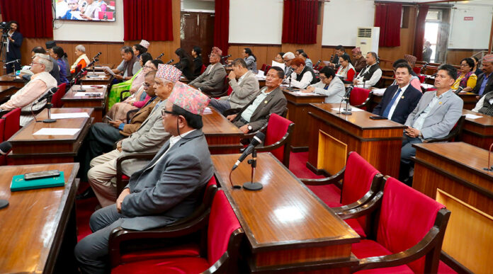 Rastriya-sabha-baithak-2